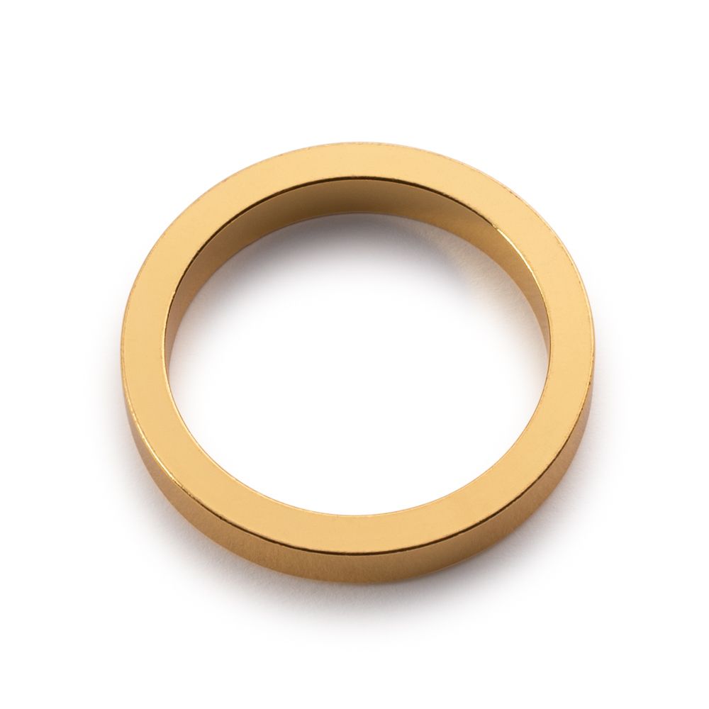 Gold Circle Napkin Ring