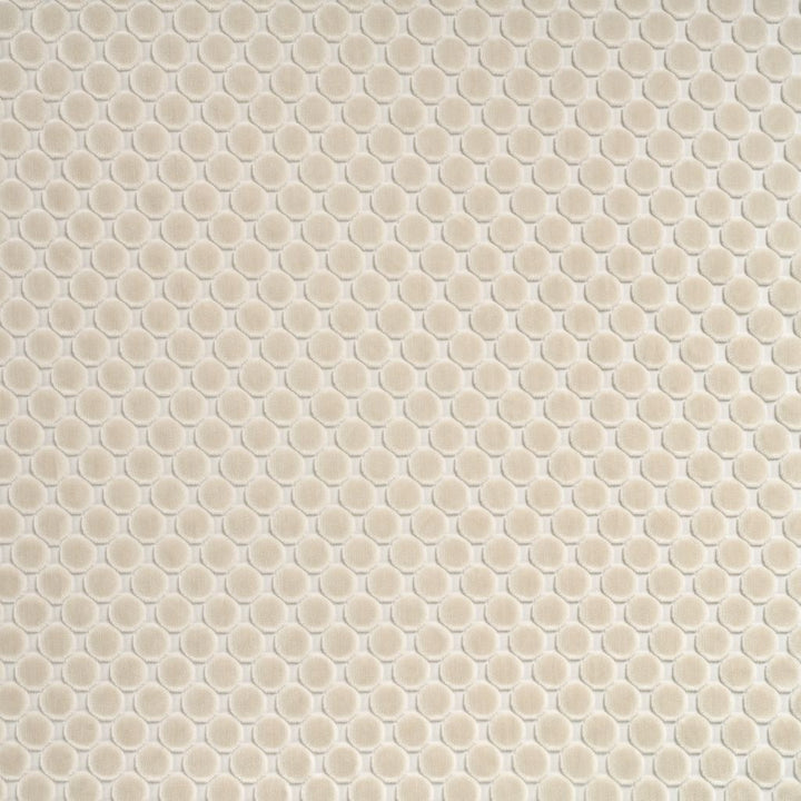 Ivory Velvet Cloud
