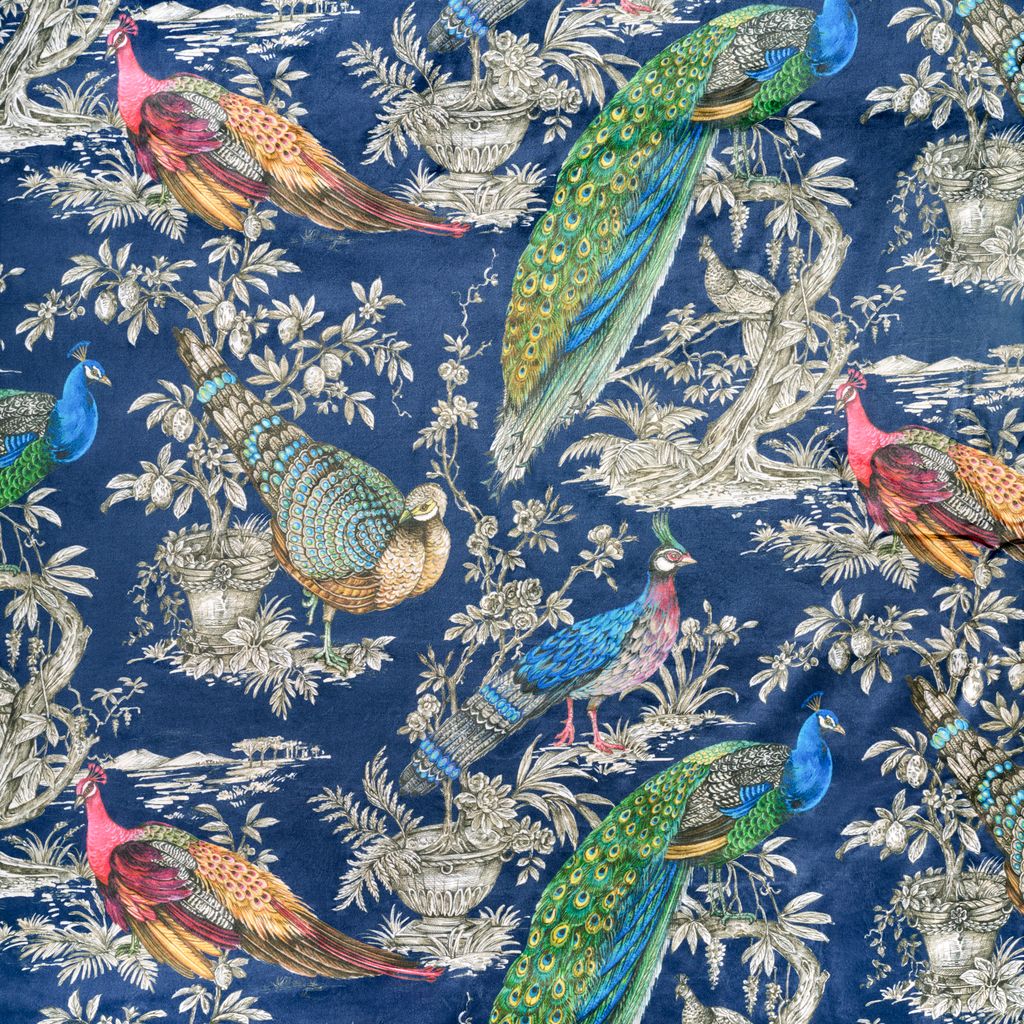 Royale Peacock