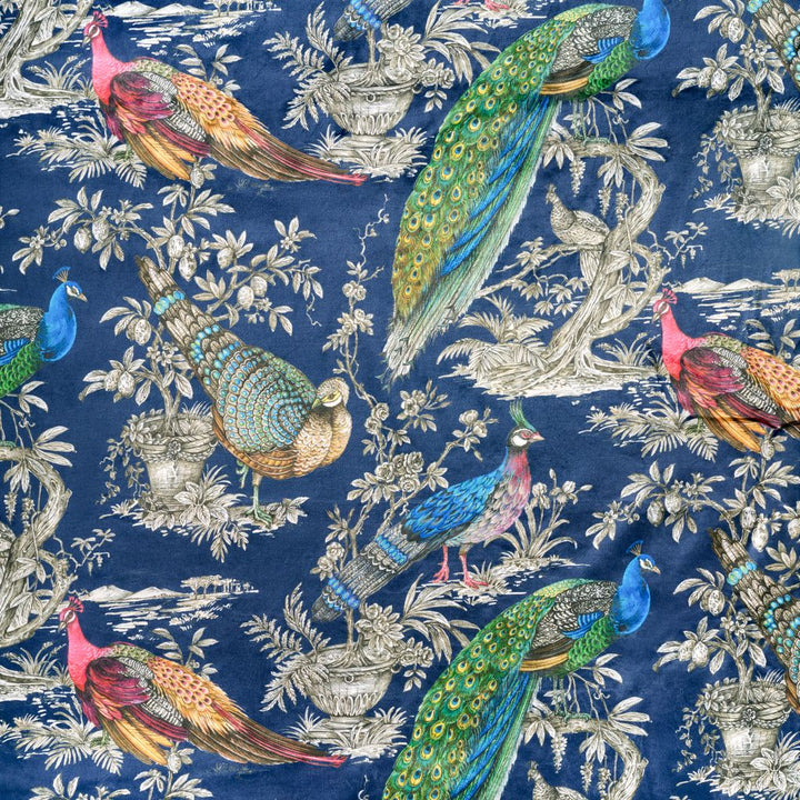 Royale Peacock