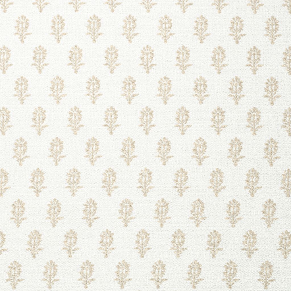 Taupe Schumacher