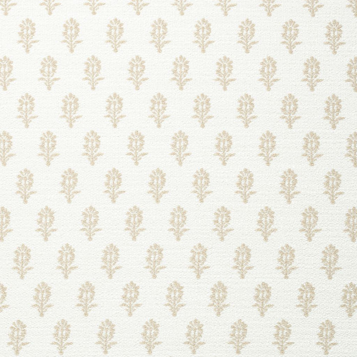 Taupe Schumacher
